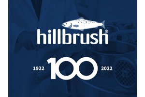 hillbrush brushes howsafe workwear ppe